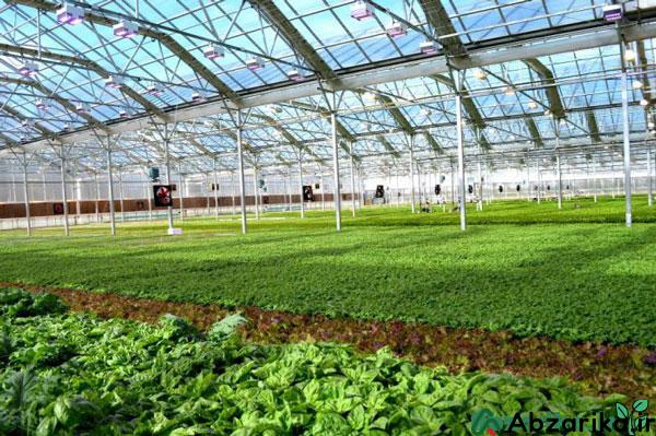 اهمیت پمپ آب در گلخانه ها